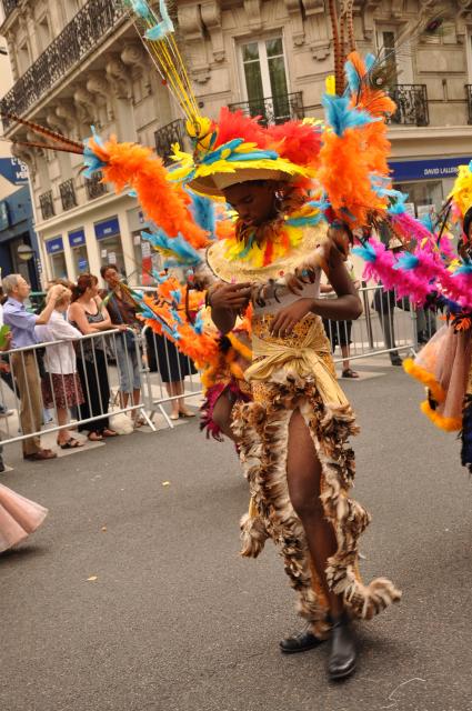 min 2010 07 03 paris tropical 285